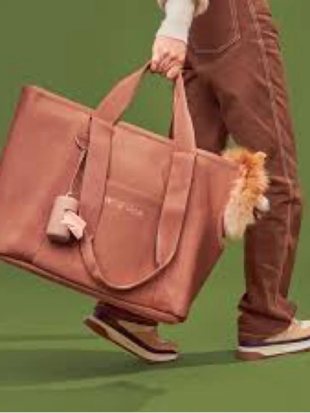 Wild One Everyday Pet Carrier Tote - Brown